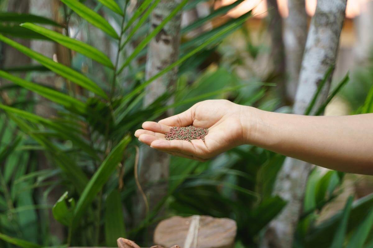 5 Best Organic Fish Food for Aquaponics