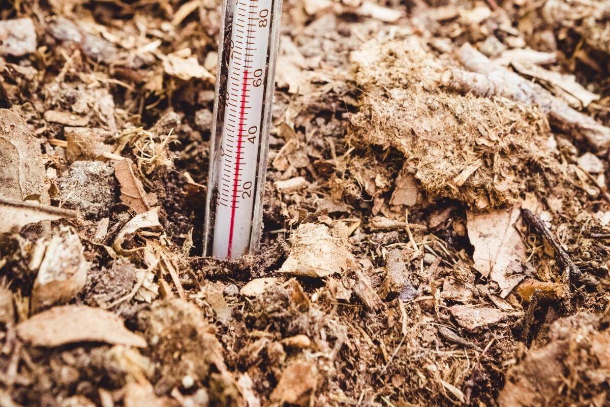 Compost Tumbler Not Heating Up? Why and Solutions