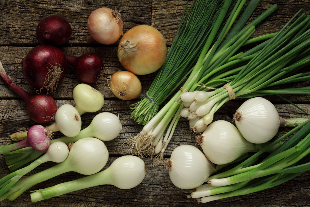 The Versatile Onion: A Culinary Workhorse