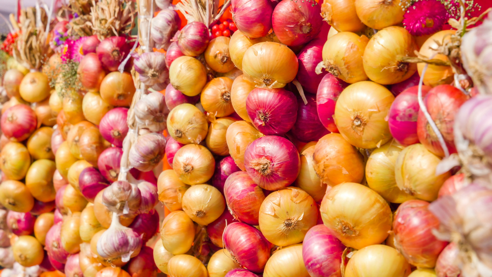 Fun Facts about onions: beyond the tears