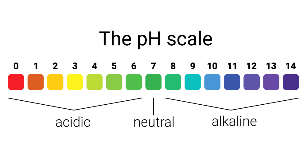 ph soil testing