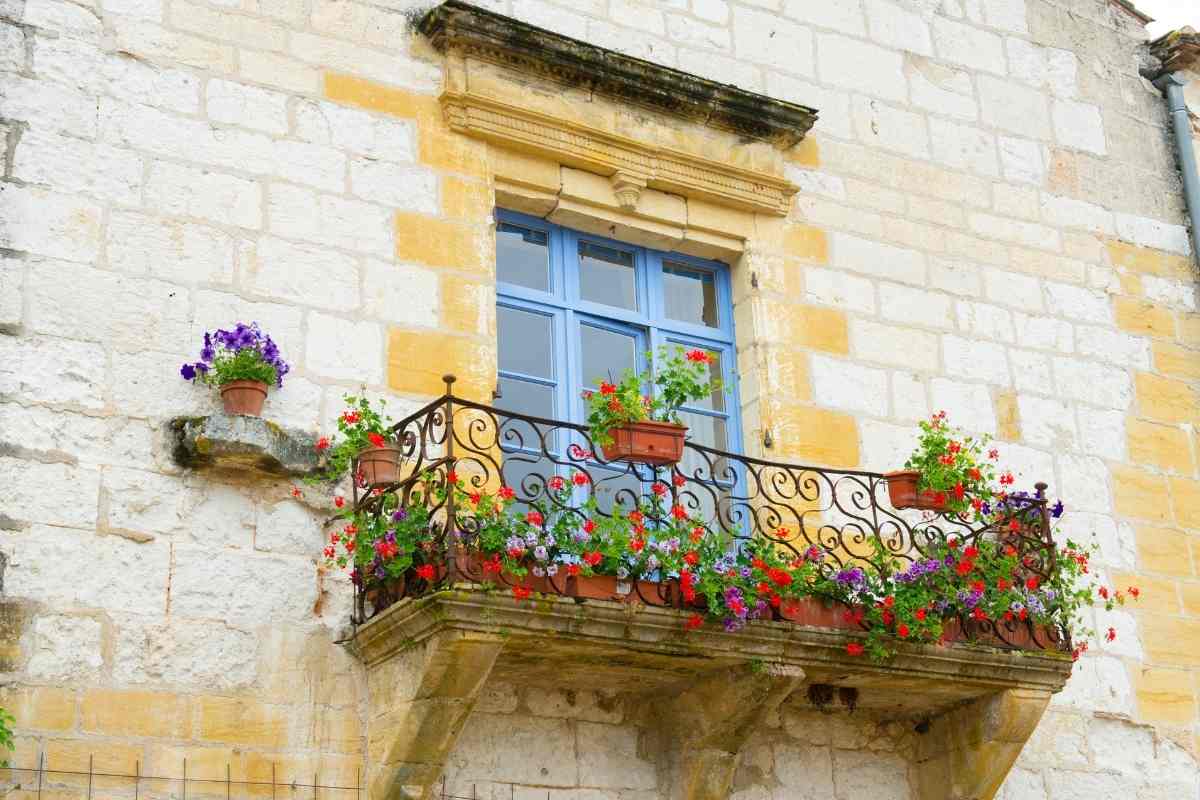 11 Low Maintenance Balcony Plants (Perfect for Windy Ledges)