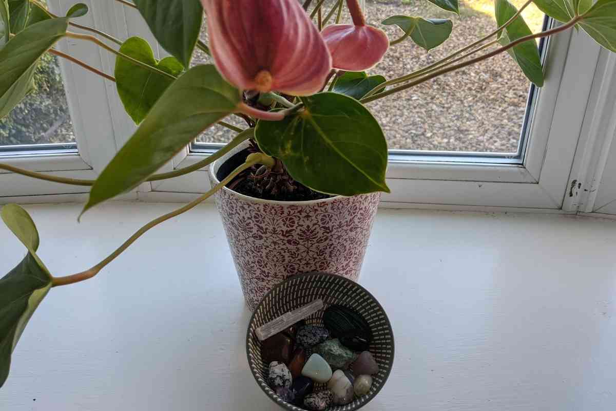 Complete Guide to Crystals and Gemstones for Gardening