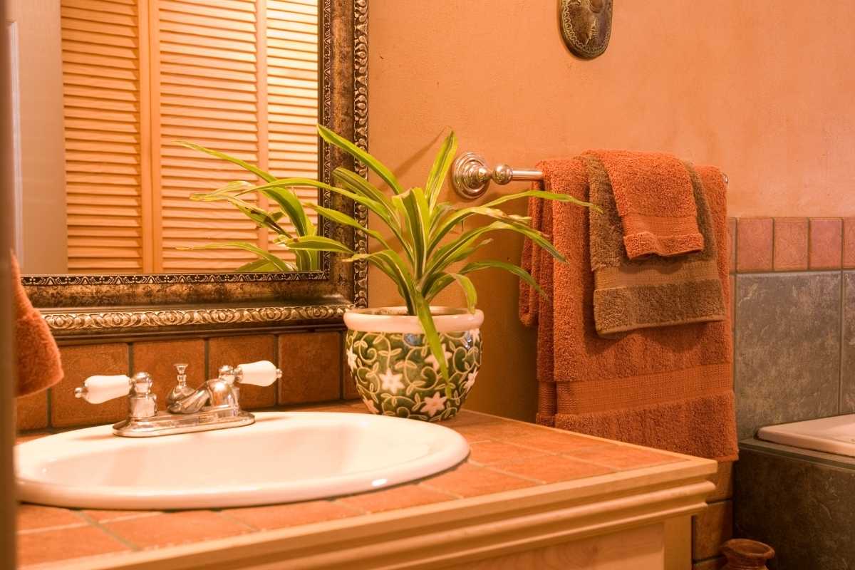20 Beautiful Bathroom Plants That Absorb Moisture
