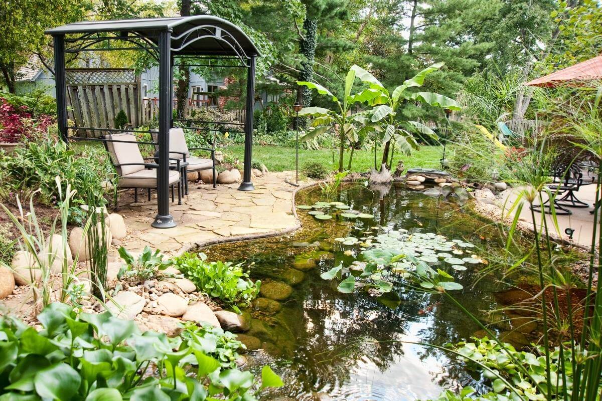Top 10 Best Wildlife Pond Edging Ideas