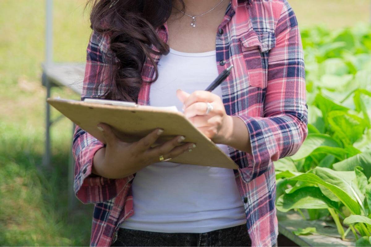 How to Calculate Hydroponic Nutrients Formula