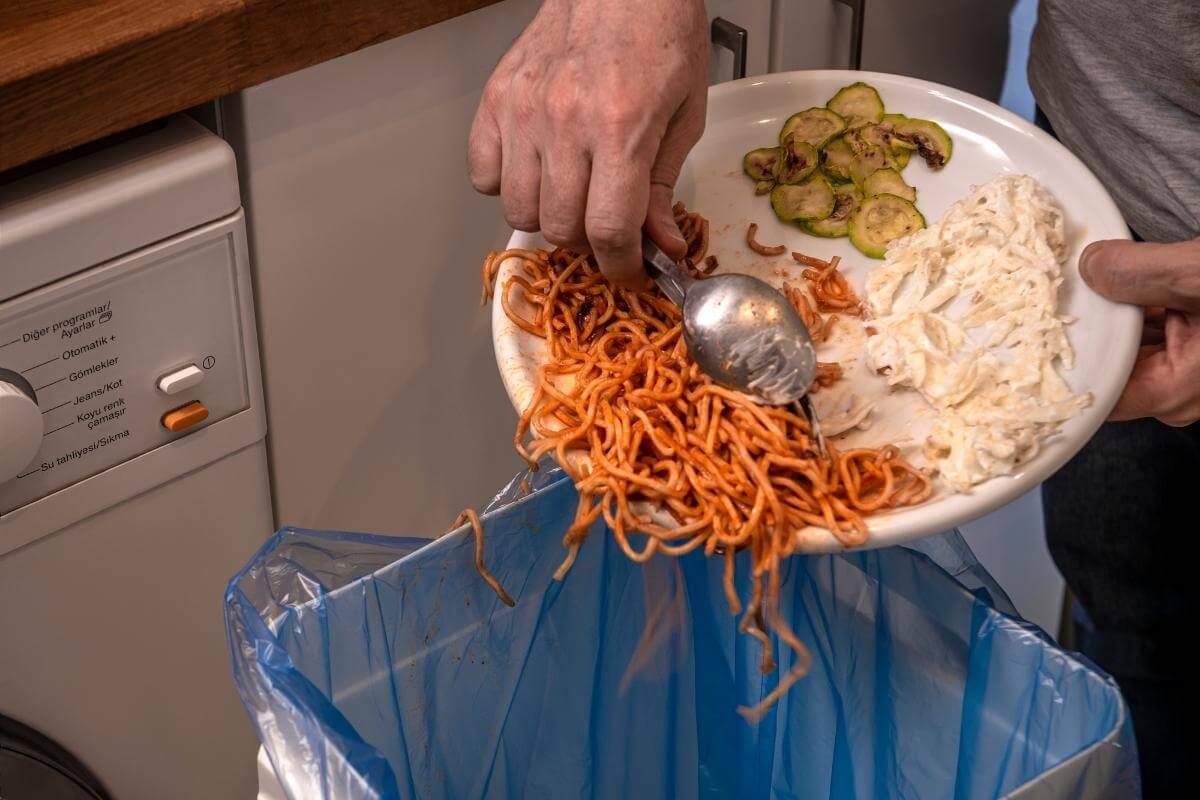 Composting Pasta: Do’s and Don’ts