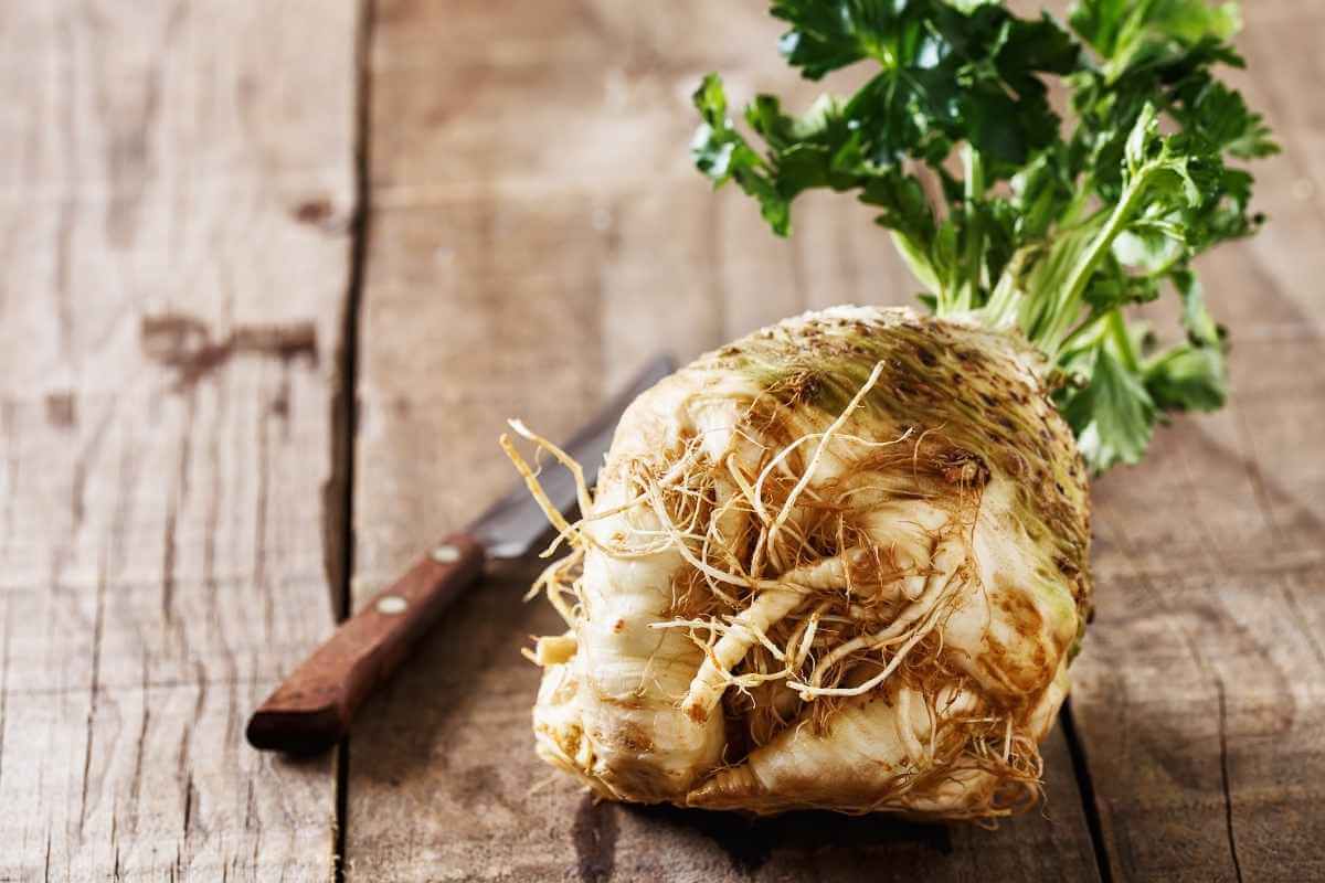 How to Grow Celeriac from Cuttings?
