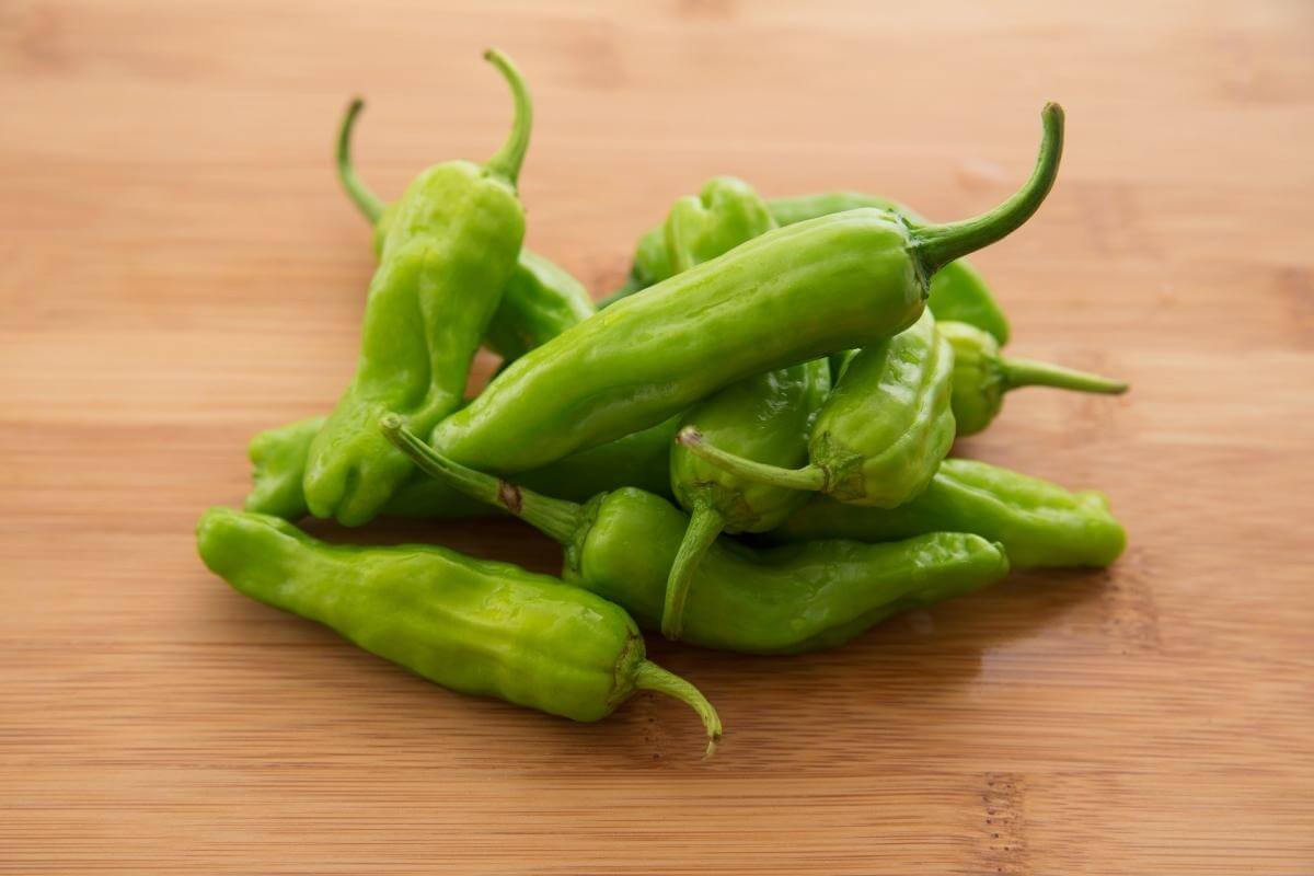 How To Grow Shishito Peppers in Pots