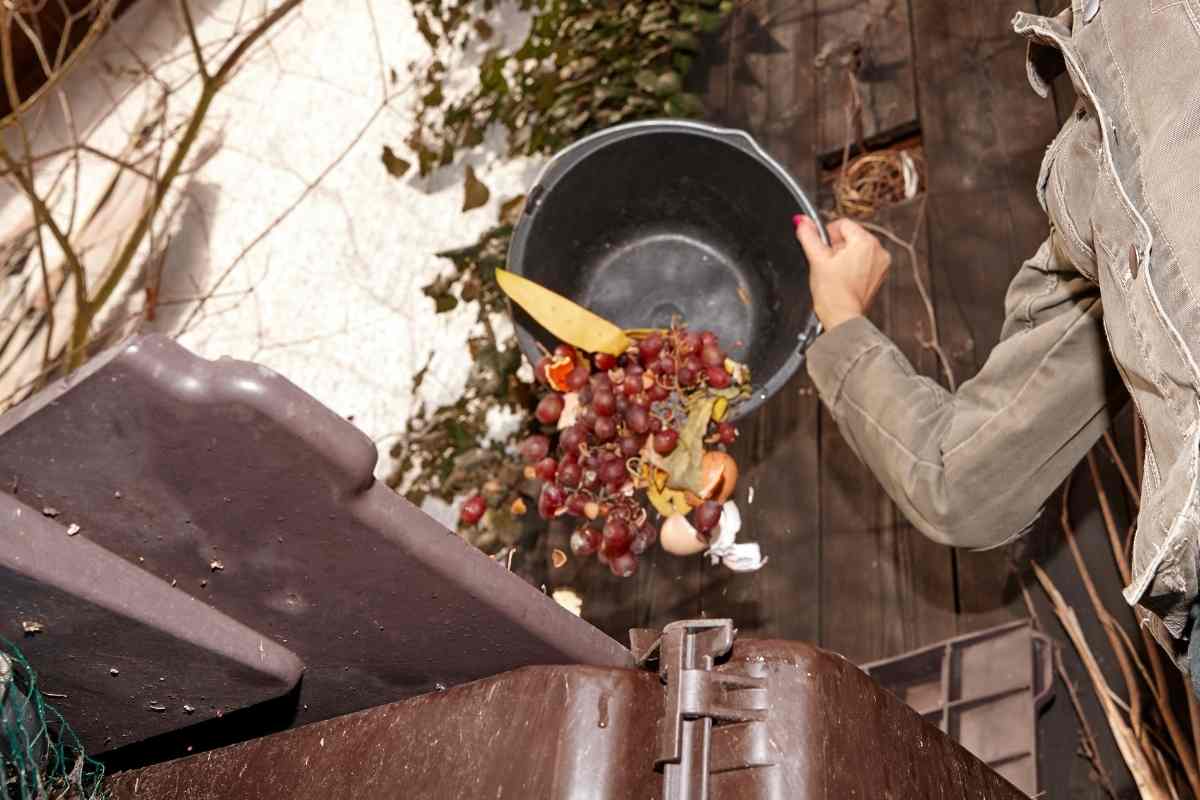 How to Harvest Compost In 7 Easy Steps