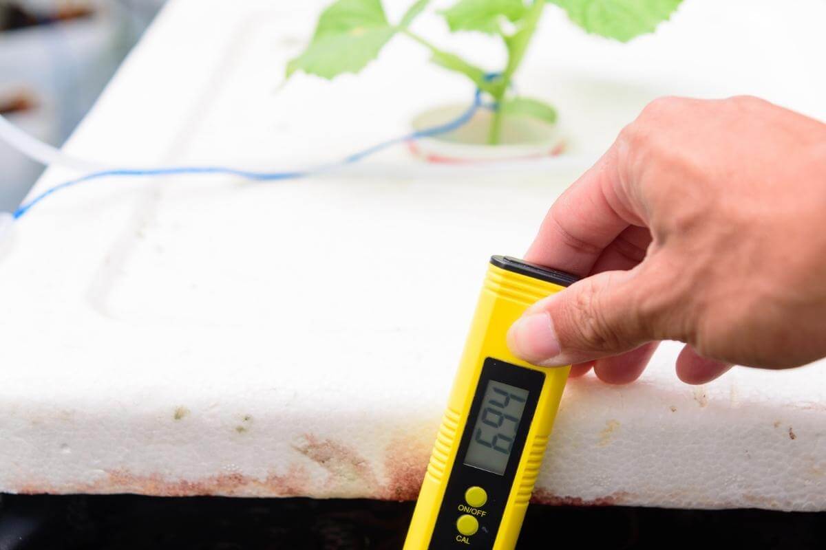 How to Keep pH Stable in Hydroponics