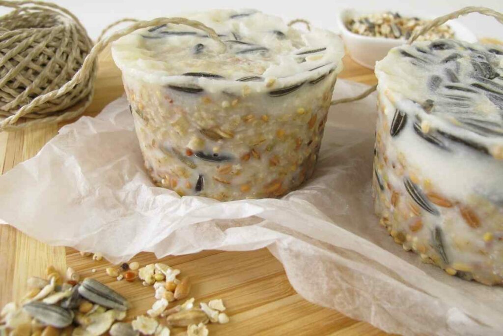 Feed birds oatmeal tips