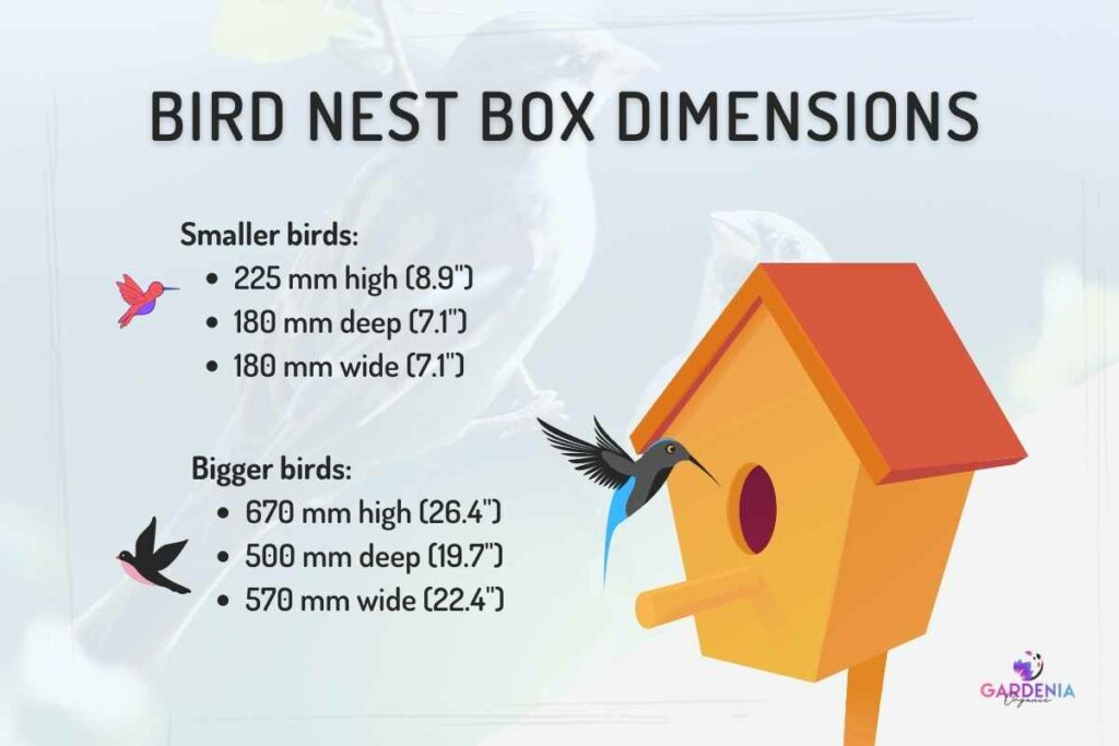 What Size Should a Nest Box Be?