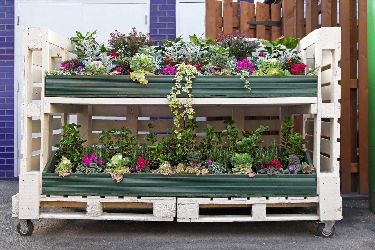 10 Perfect Plants for Pallet Gardens