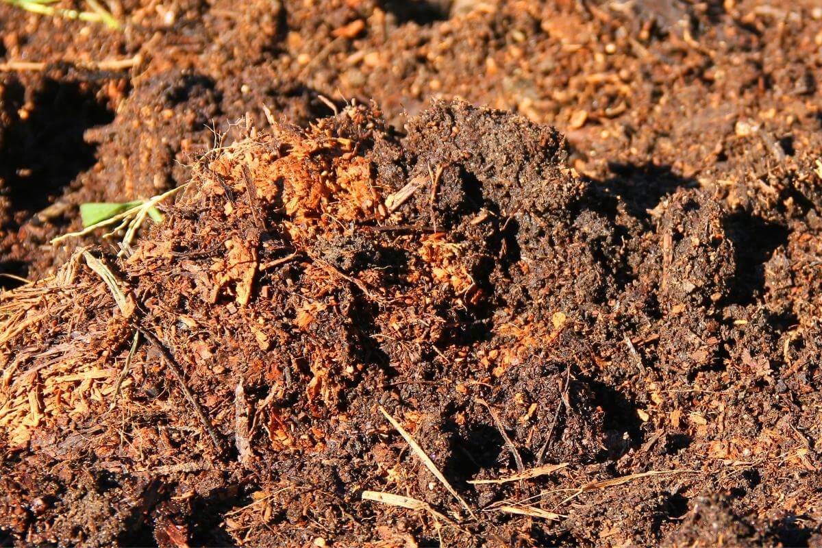 Tips on testing compost quality