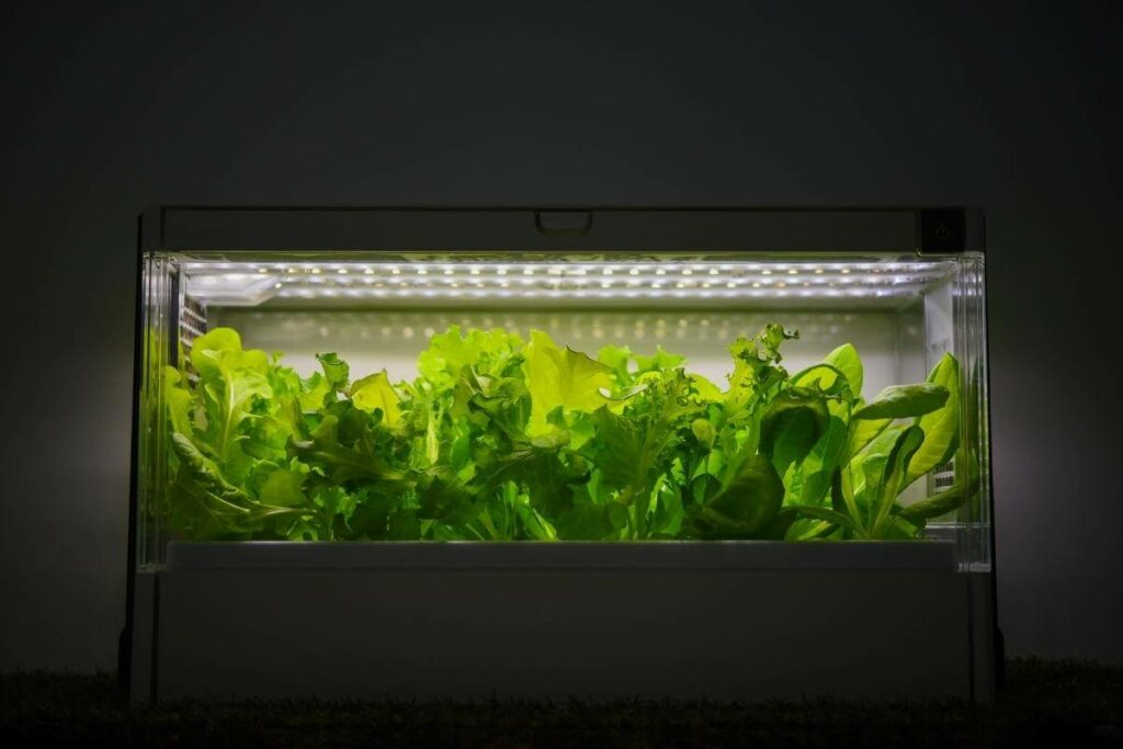 First step Test Source Water