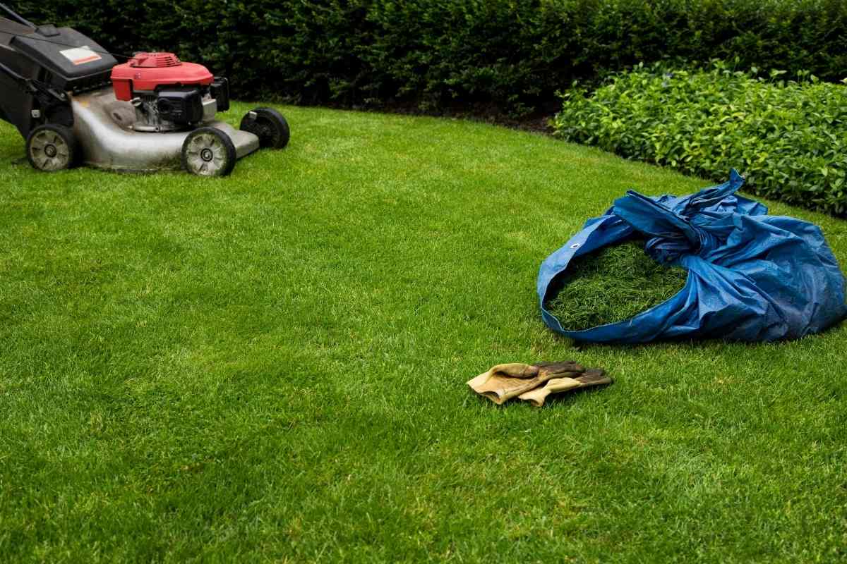 Can I Throw Grass Clippings in the Garbage?