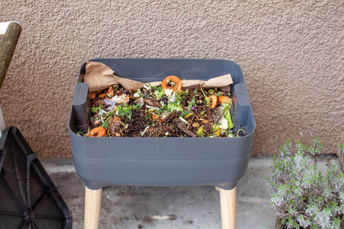 Vermicompost vs Fertilizer option
