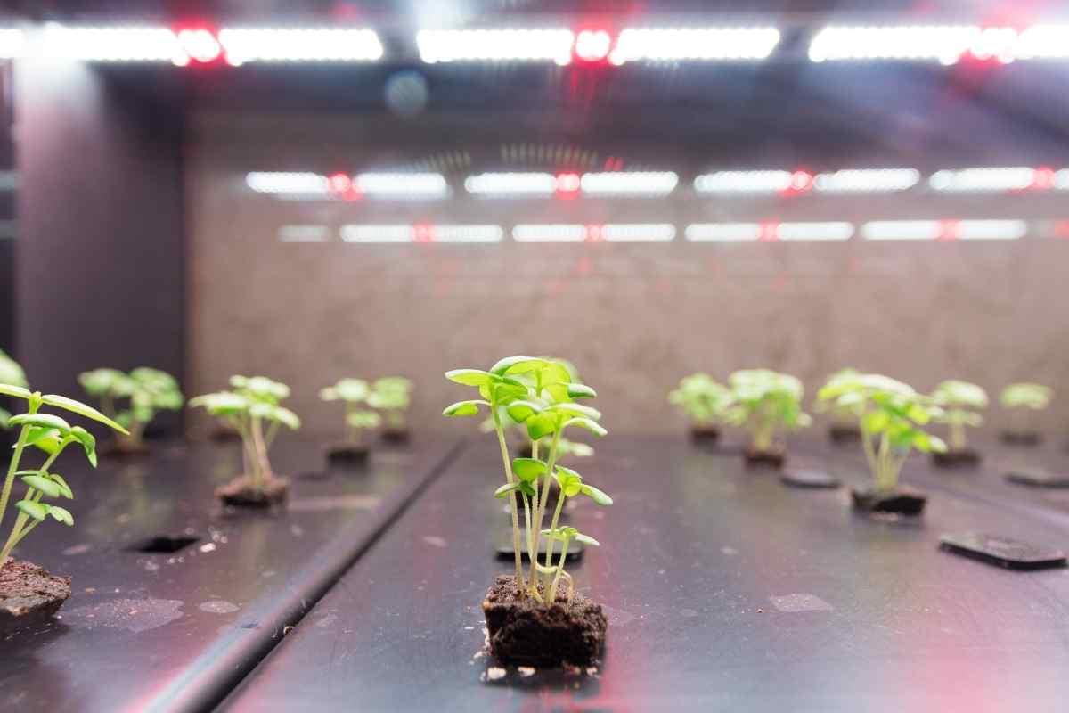 AeroGarden light too bright (How to Fix)