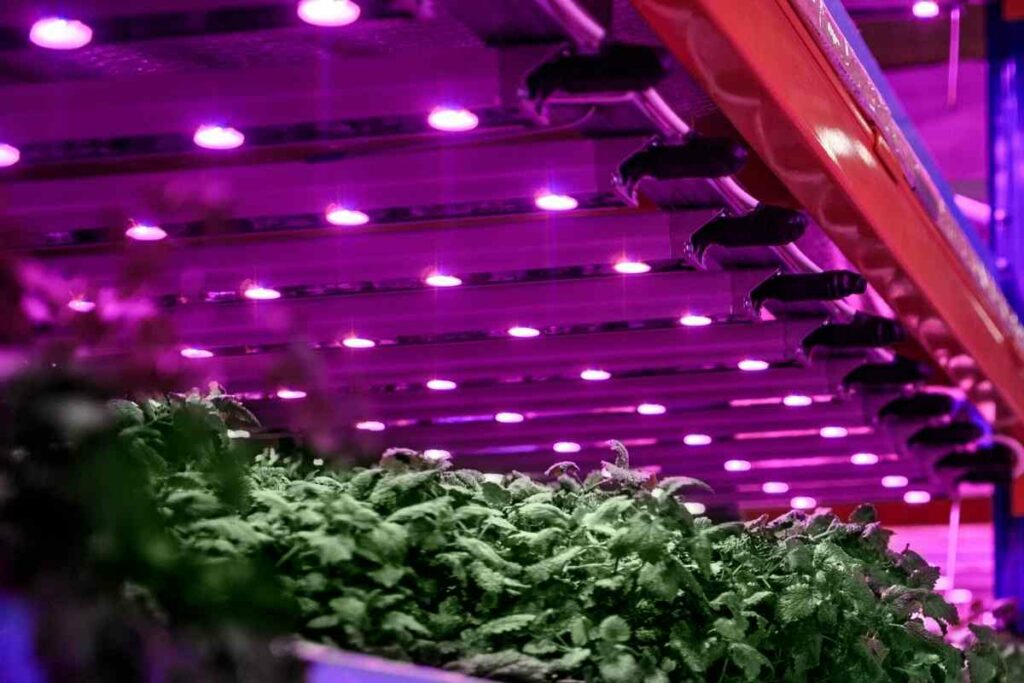 Aerogarden lights not working