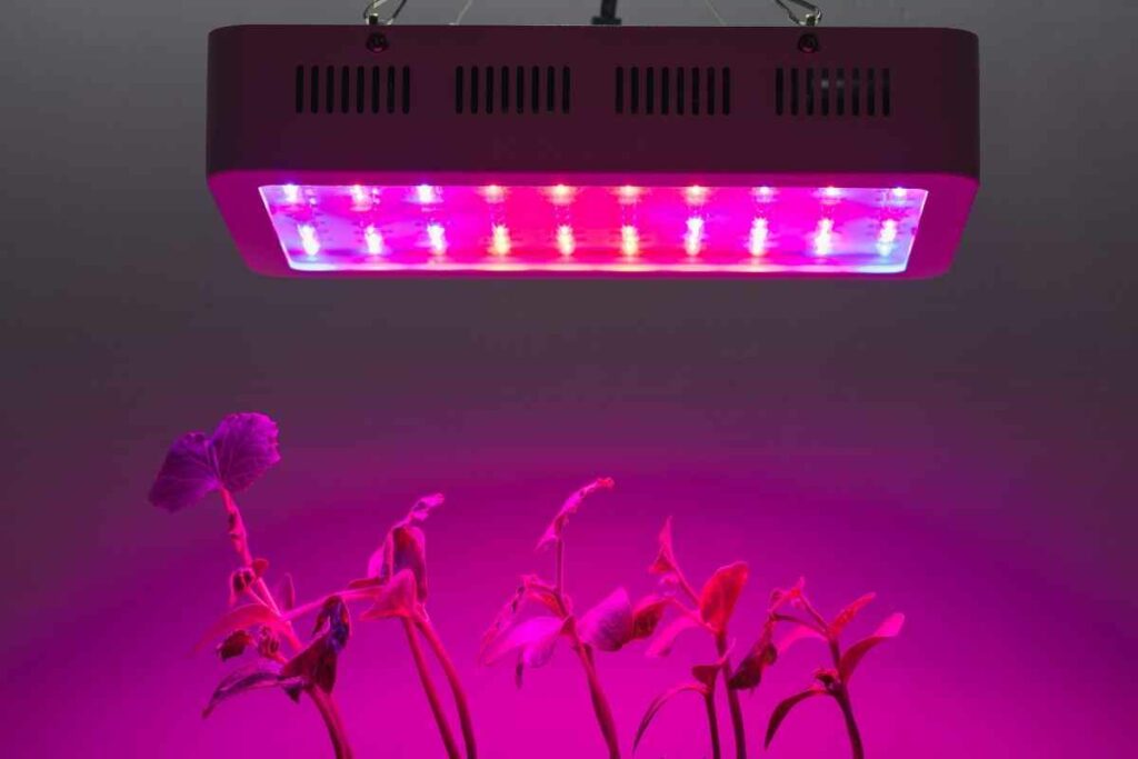 Aeroponic growing lights