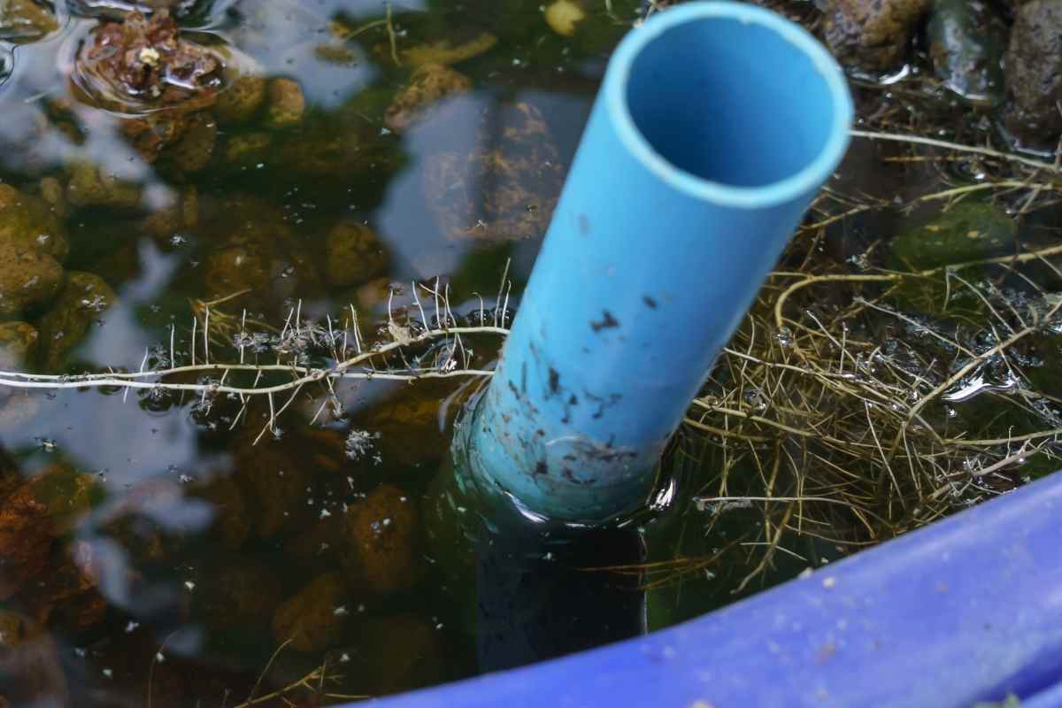 Aquaponics Biofilter Explained (How It Works & Why You Need One)