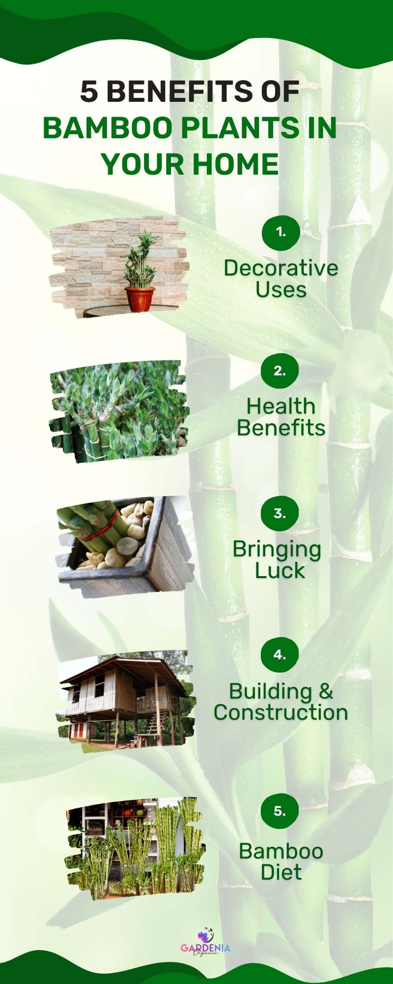 Bamboo in home benefits