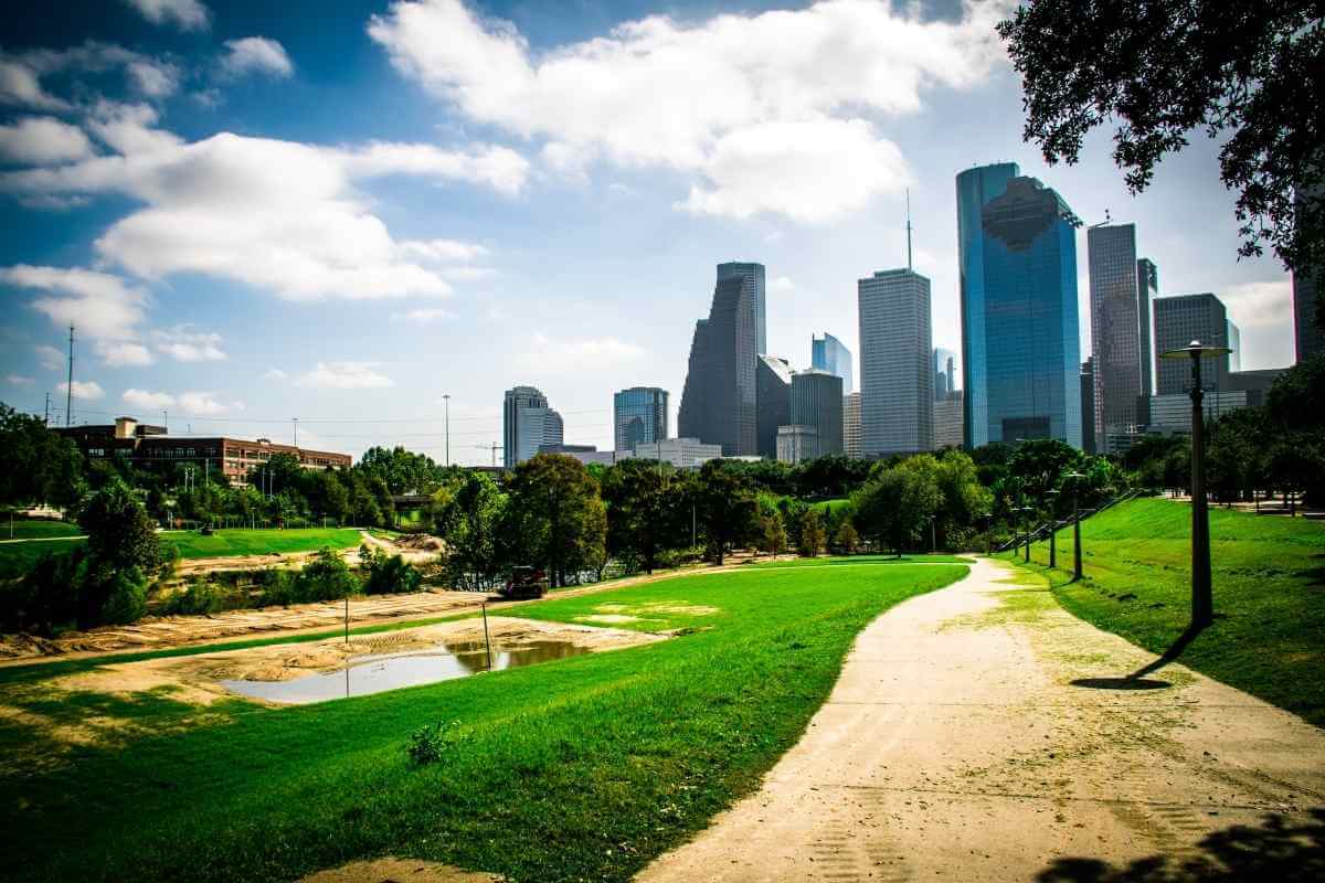 10 Best Fruit Trees For Houston (Perfect For Houston Backyards)