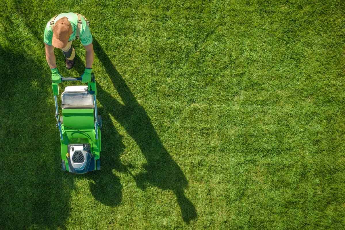 Best Lawn Care Service Near Me (UK Edition)