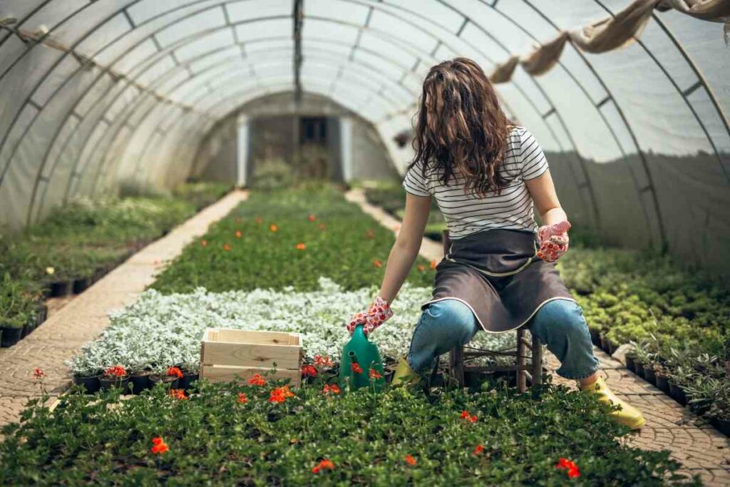 Get rid of bugs in your garden