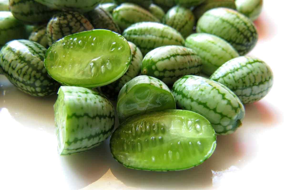 How to Grow Cucamelon In Hanging Baskets (Complete Guide)