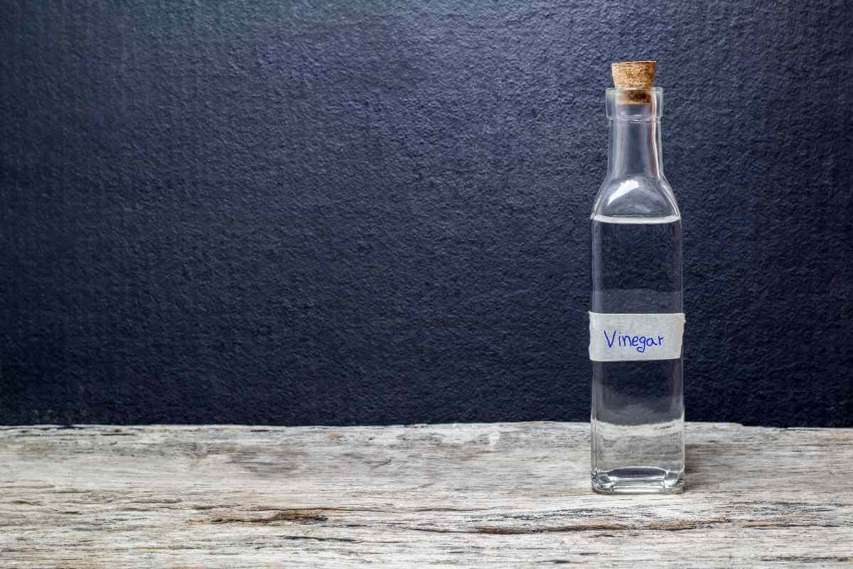 How to Clean Aero Garden with Vinegar