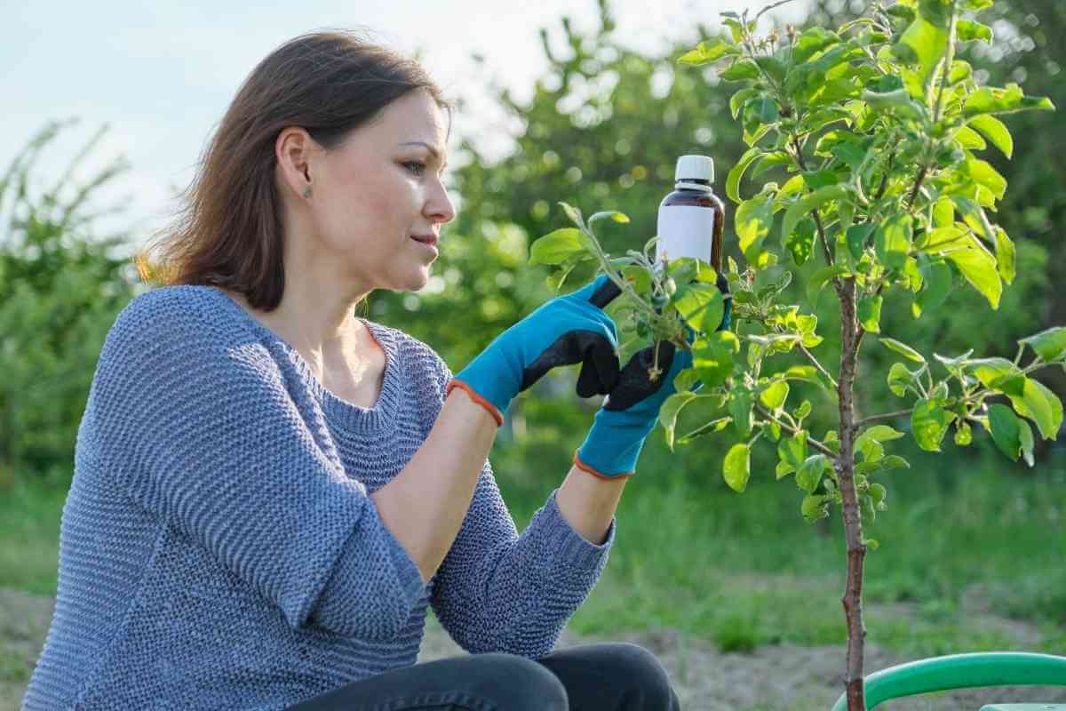 How To Use Garden Safe Fungicide?