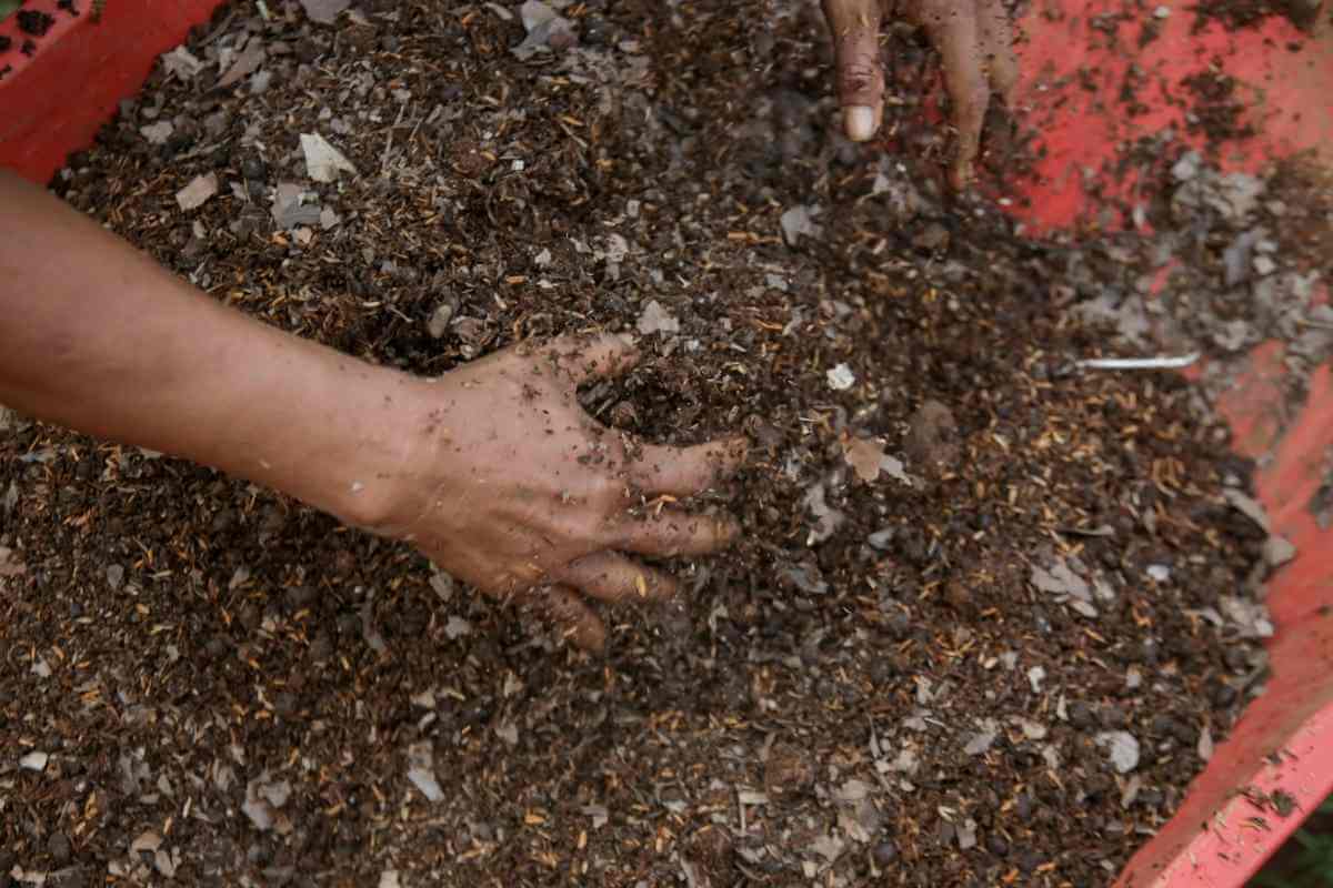 How to Use Vermicompost in Potted Plants