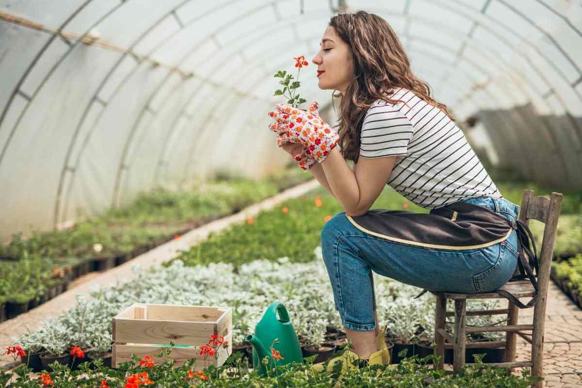20 Weeds That Look Like Flowers