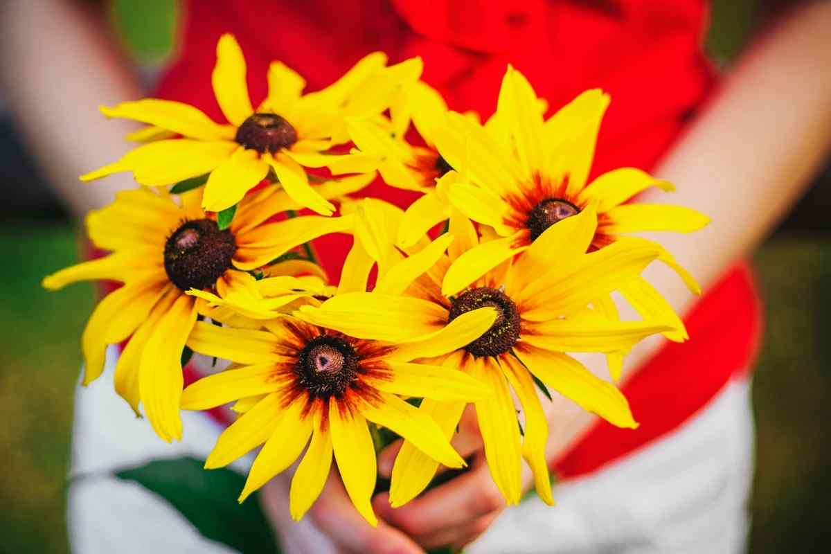 20 Types Yellow Spring Flowers (Beautiful Images)