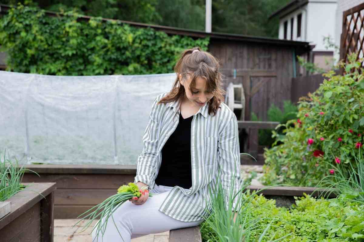 What To Put On The Bottom of Raised Garden Bed