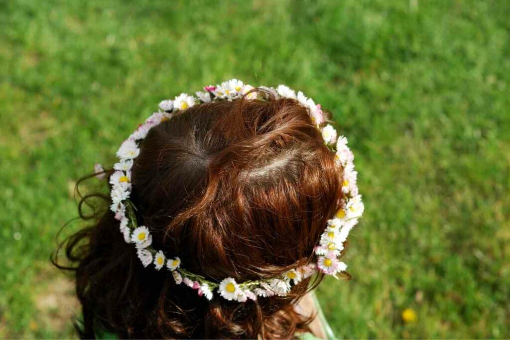 Crown Daisy flowers in hair