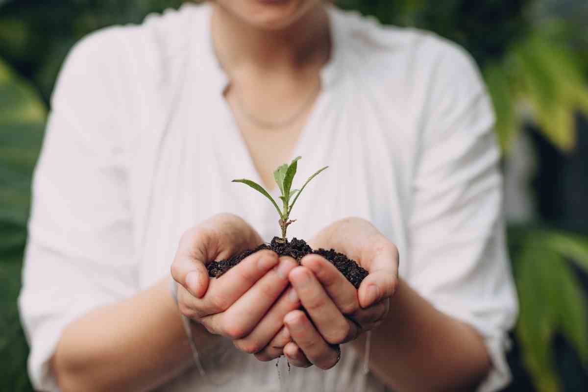 Do Organic Gardeners Use Lime?