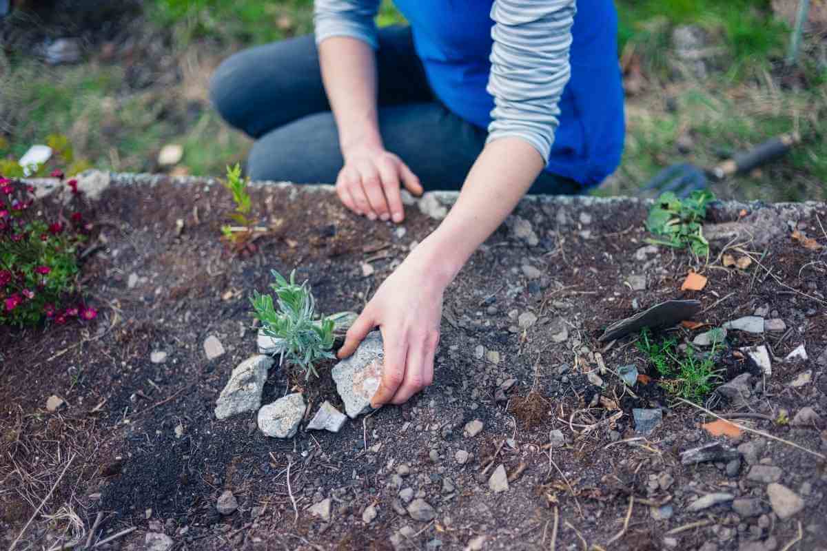 Should You Drill Holes in the Bottom of a Raised Garden Bed?
