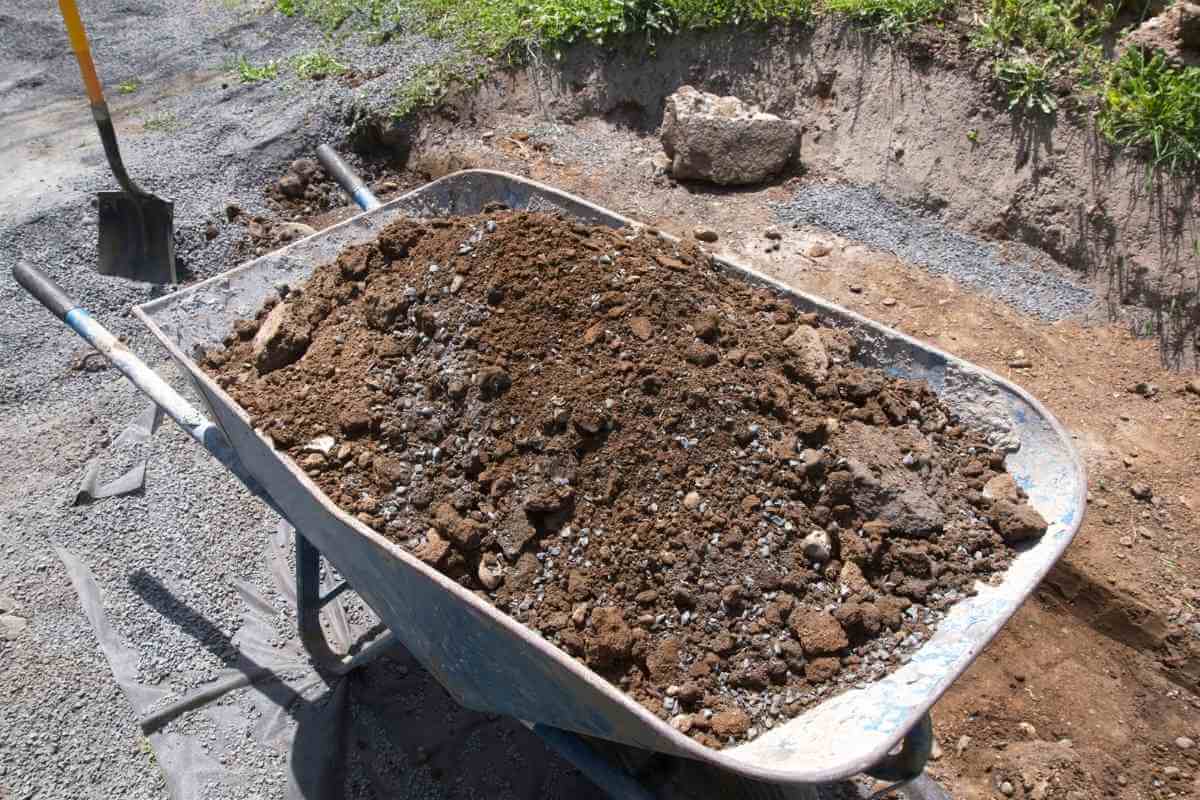 Will Grass Grow in Fill Dirt?