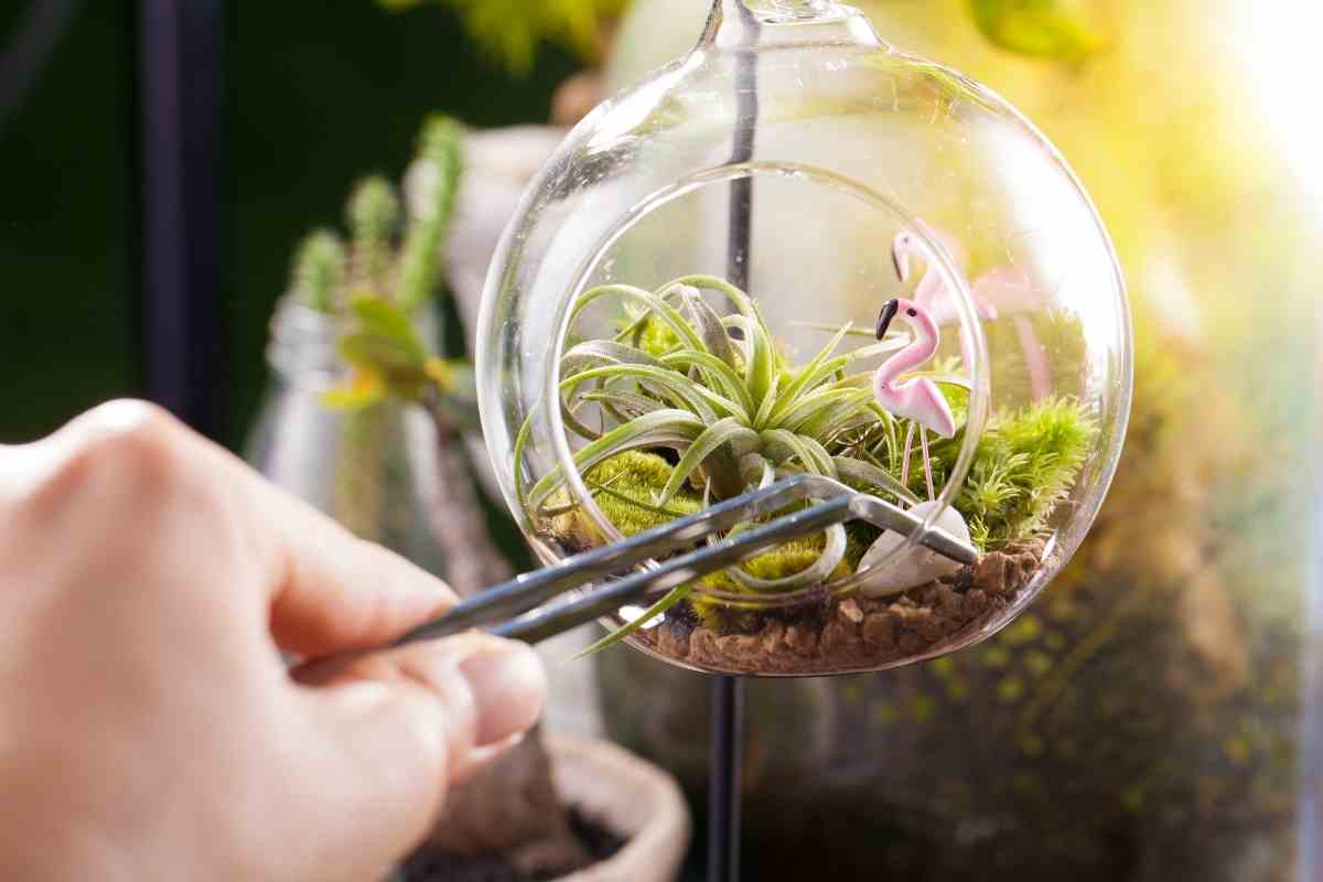 How to Make a Zen Garden Terrarium