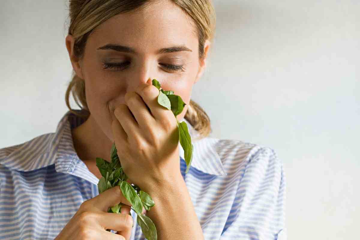 How To Store Basil Seeds