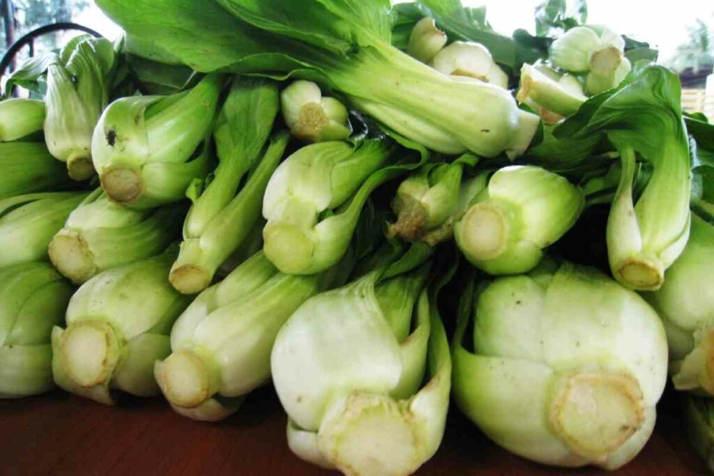 When to Apply Fertilizers organic pechay