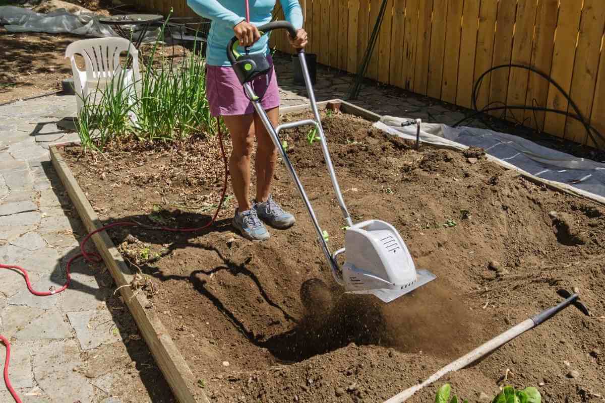 Should I Remove Stones from the Soil?