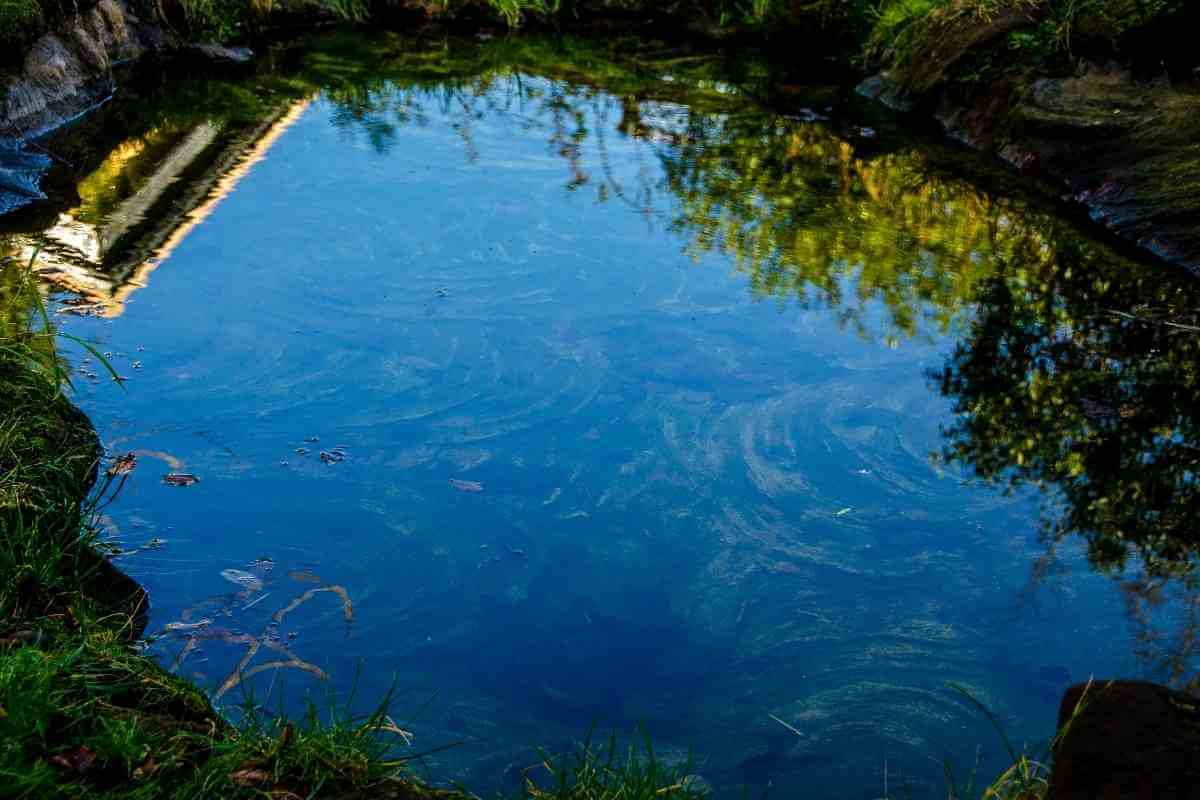 Pond Turn Over (All You Need To Know)