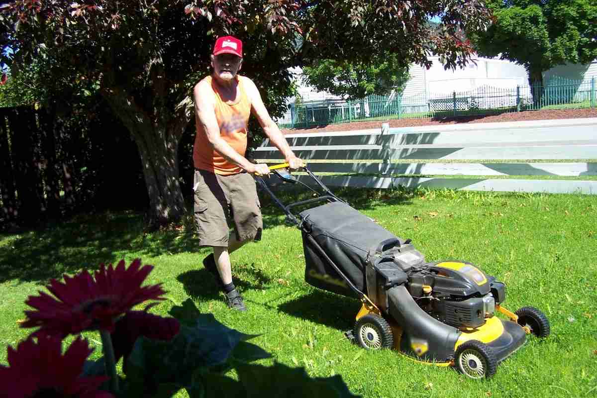 Best Mower for Bermuda Grass for 2022