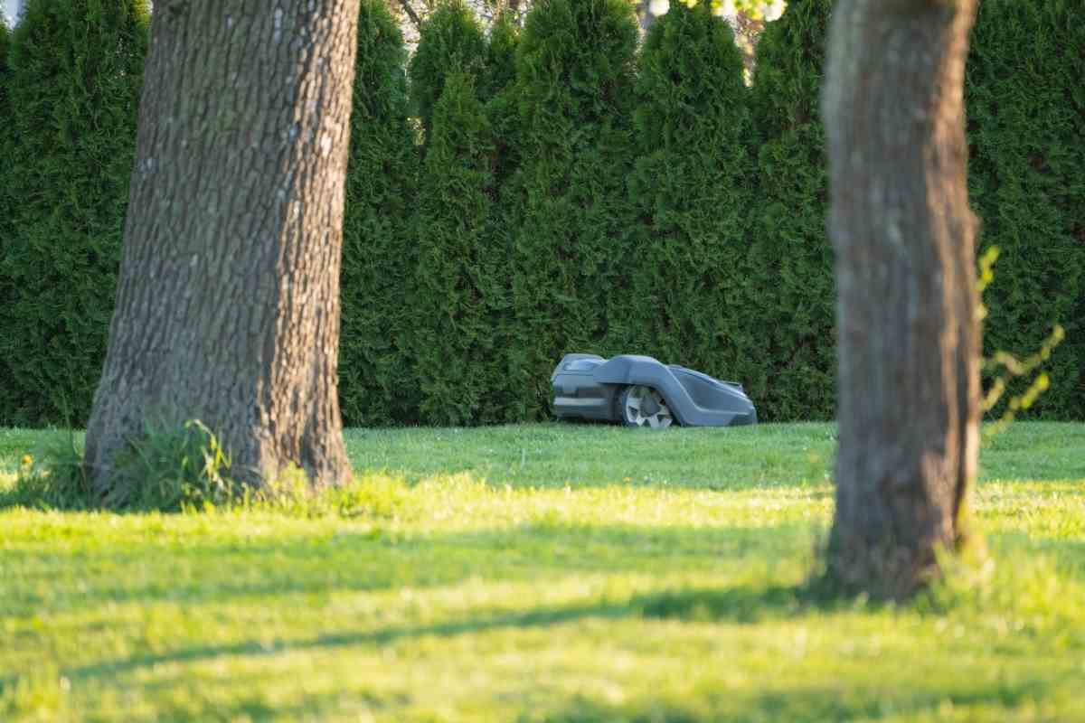 Best Robotic Lawn Mowers USA – 7 Amazing Robot Mowers