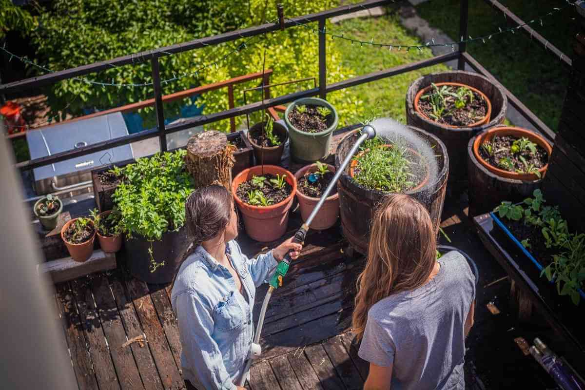 Bionic Garden Hose And Metal Hoses (Top 5 Reviewed)