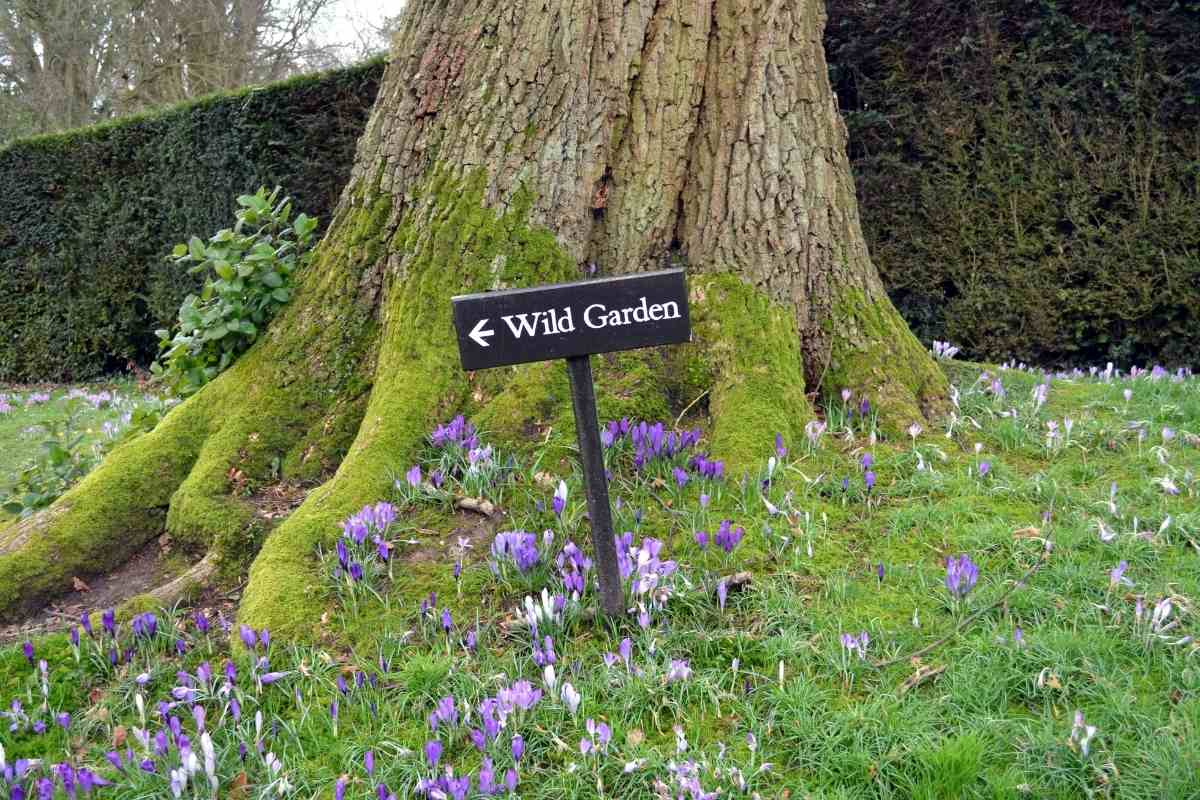 11 Crazy and Funny Garden Sign Ideas